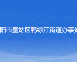 沈陽(yáng)市皇姑區(qū)鴨綠江街道辦事處