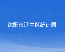 沈陽市遼中區(qū)統(tǒng)計局