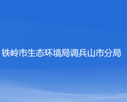 鐵嶺市生態(tài)環(huán)境局調(diào)兵山市