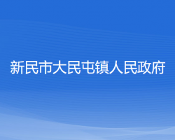 新民市大民屯鎮(zhèn)人民政府