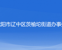 沈陽市遼中區(qū)茨榆坨街道辦事處