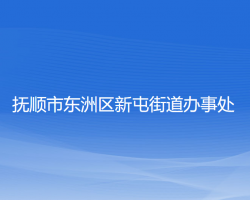 撫順市東洲區(qū)新屯街道辦事處