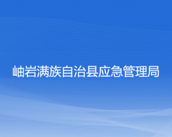 岫巖滿族自治縣應(yīng)急管理局