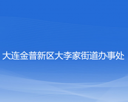 大連金普新區(qū)大李家街道辦事處