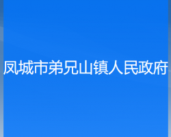 鳳城市弟兄山鎮(zhèn)人民政府