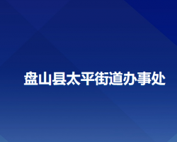 盤山縣太平街道辦事處政務(wù)服務(wù)網(wǎng)