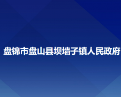 盤錦市盤山縣壩墻子鎮(zhèn)人民政府政務(wù)服務(wù)網(wǎng)