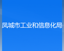 鳳城市工業(yè)和信息化局