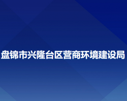 盤錦市興隆臺區(qū)營商環(huán)境建設局