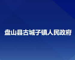 盤山縣古城子鎮(zhèn)人民政府政務(wù)服務(wù)網(wǎng)