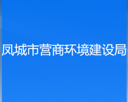 鳳城市營商環(huán)境建設局