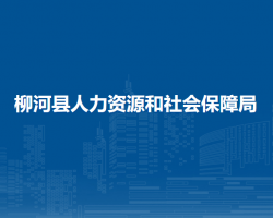 柳河縣人力資源和社會保障