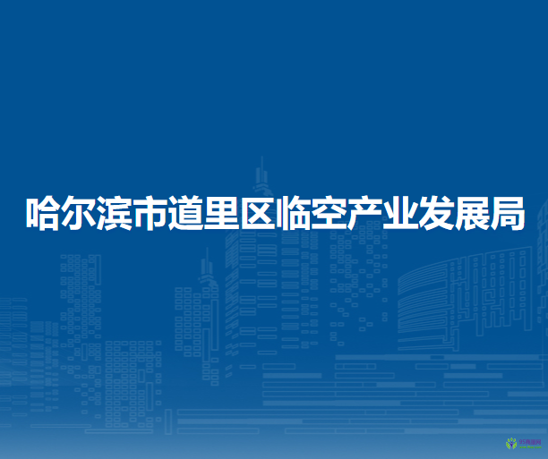 哈爾濱市道里區(qū)臨空產業(yè)發(fā)展局