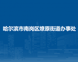 哈爾濱市南崗區(qū)燎原街道辦事處