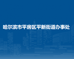 哈爾濱市平房區(qū)平新街道辦事處