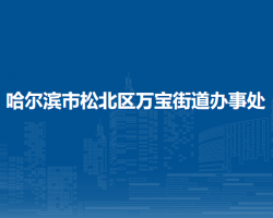 哈爾濱市松北區(qū)萬(wàn)寶街道辦事處