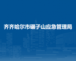 齊齊哈爾市碾子山應急管理局