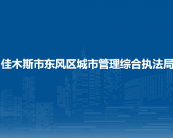 佳木斯市東風區(qū)城市管理綜