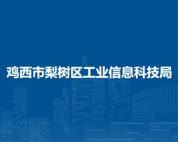 雞西市梨樹區(qū)工業(yè)信息科技