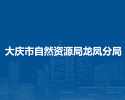 大慶市自然資源局龍鳳分局