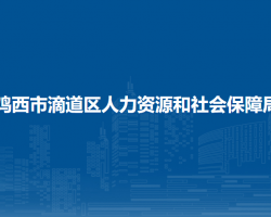 雞西市滴道區(qū)人力資源和社