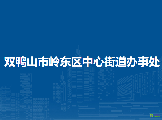 雙鴨山市嶺東區(qū)中心街道辦事處