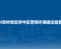 大興安嶺地區(qū)呼中區(qū)營(yíng)商環(huán)境建設(shè)監(jiān)督局