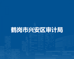 鶴崗市興安區(qū)審計(jì)局