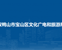 雙鴨山市寶山區(qū)文化廣電和旅游局