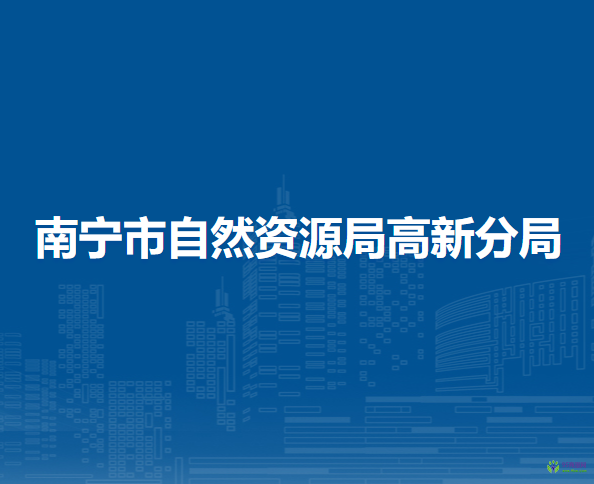 南寧市自然資源局高新分局