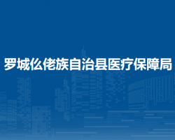 羅城仫佬族自治縣醫(yī)療保障局